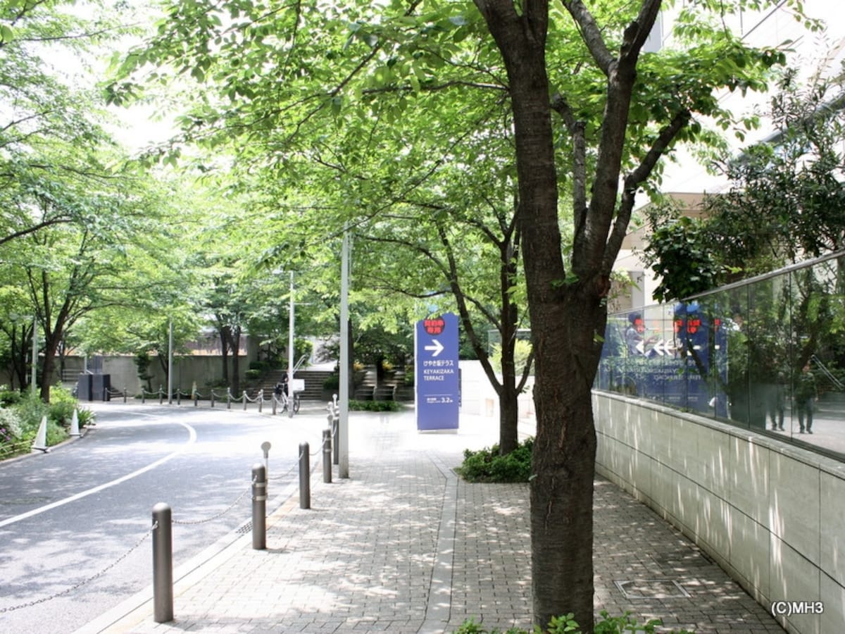 けやき坂からさくら坂への分岐点