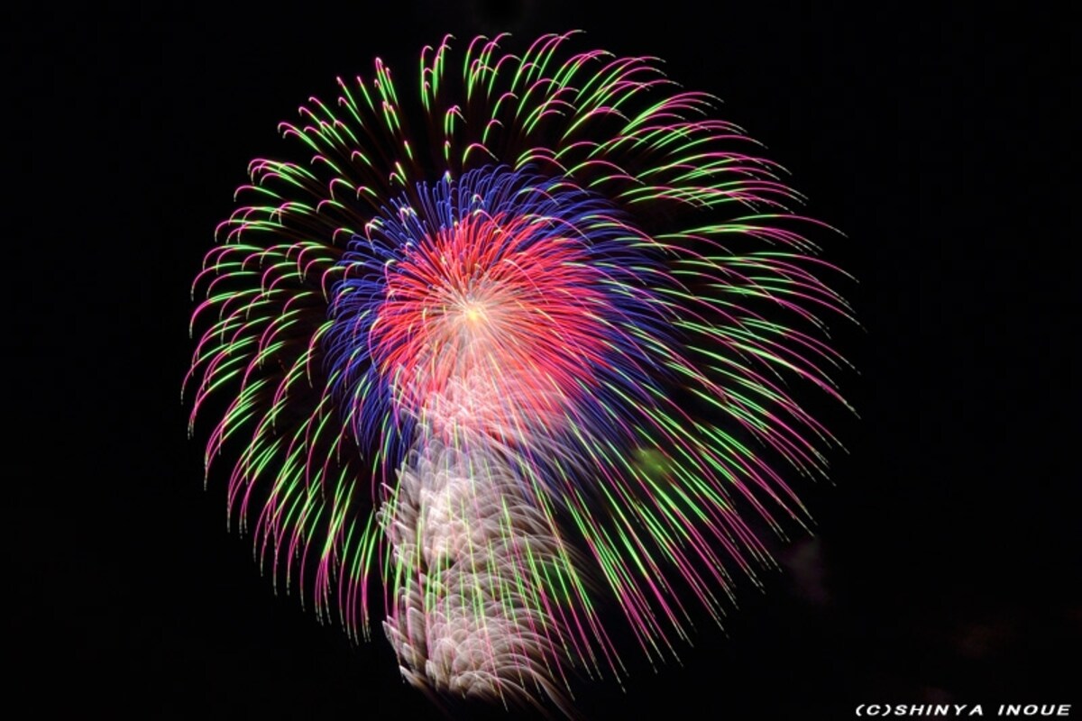 三重芯変化菊