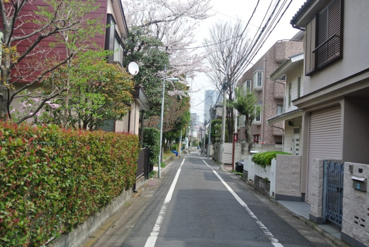 パークホームズ目白ザ フォレスト周辺の街並み