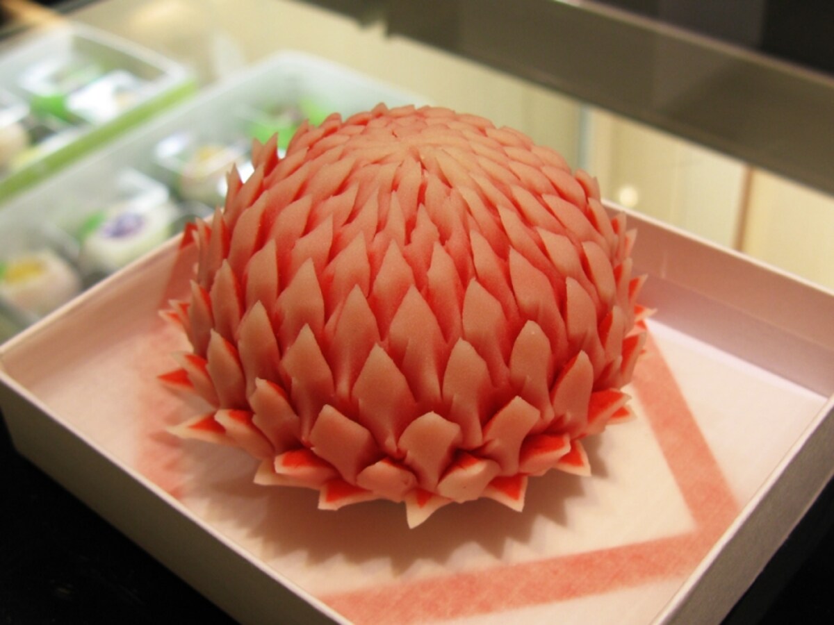 はさみ菊