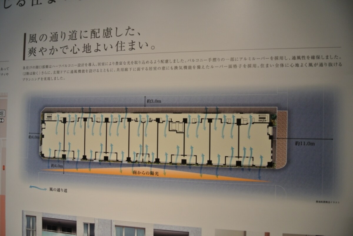 プラウド東京八丁堀の敷地配置図