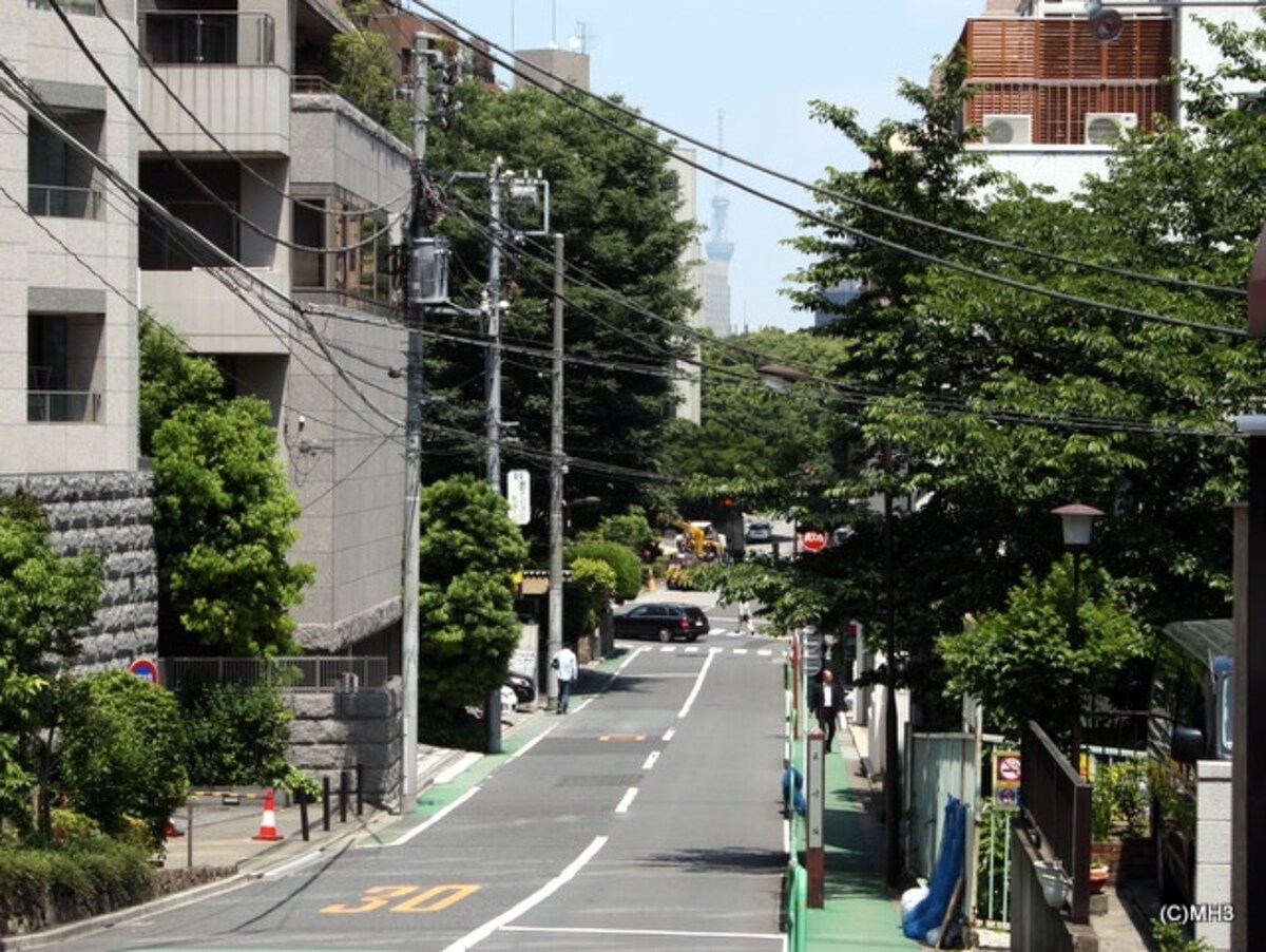 三番町からスカイツリーを望む