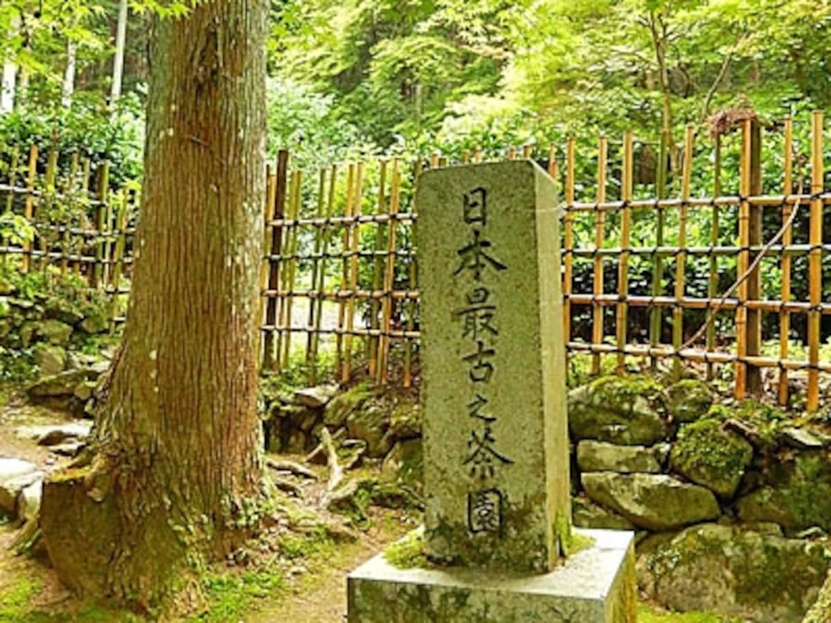 京都栂尾にある、日本最古と称される茶園を示す石標