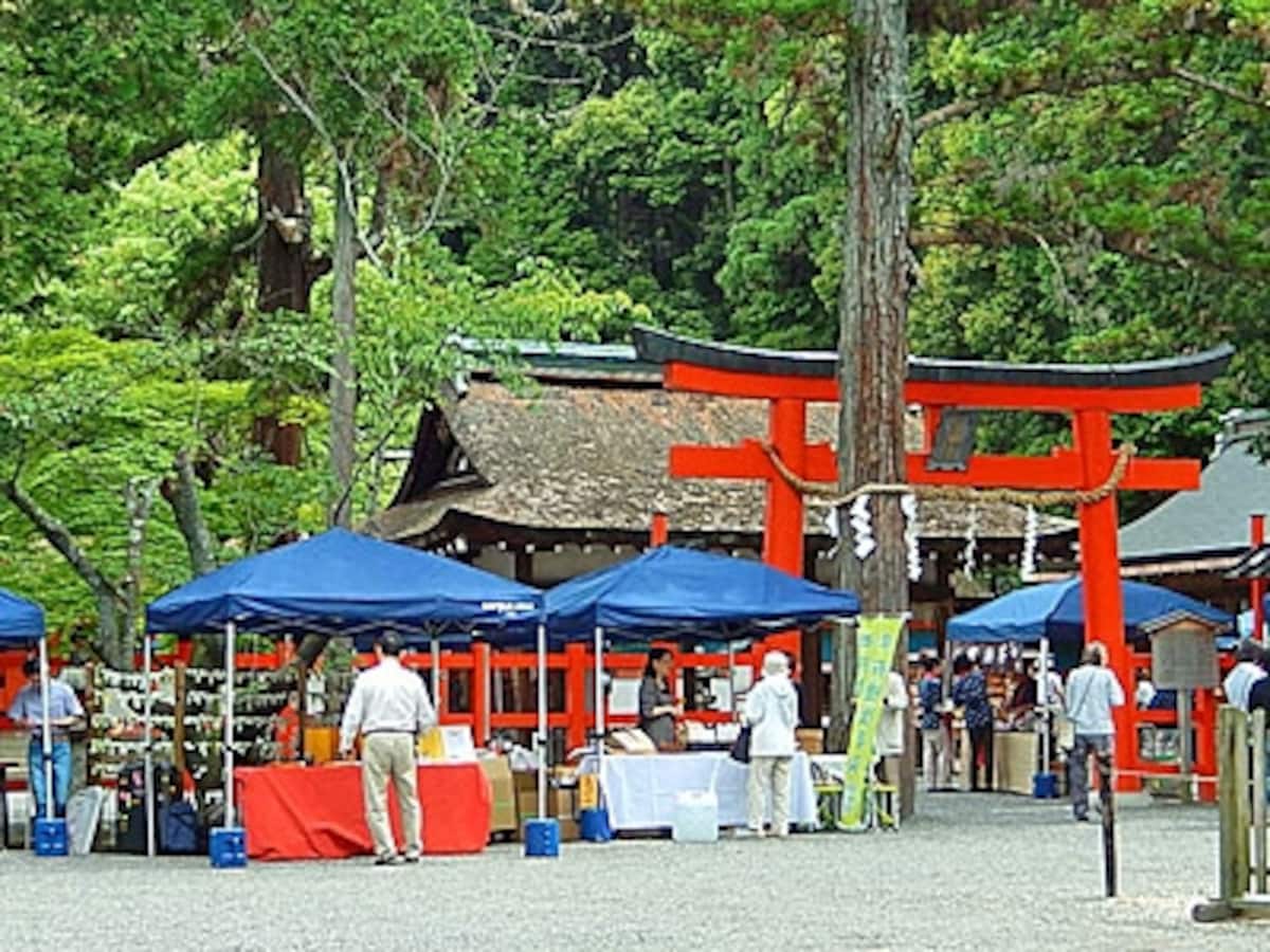 世界の名茶が集まる吉田山の境内