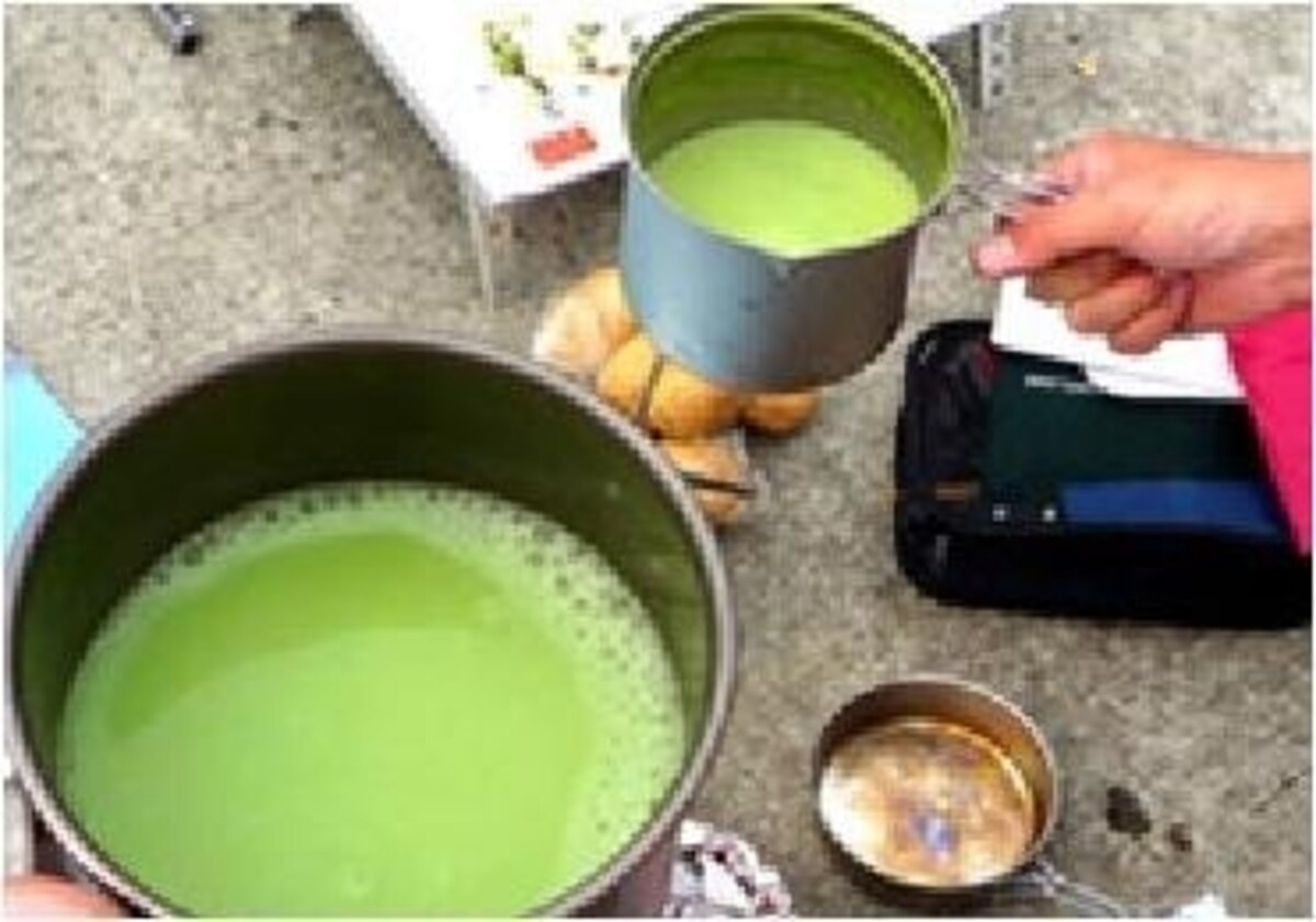 「癒しのスピリチュアルウォーク」で抹茶