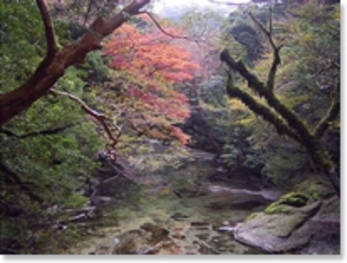 屋久島の山々　