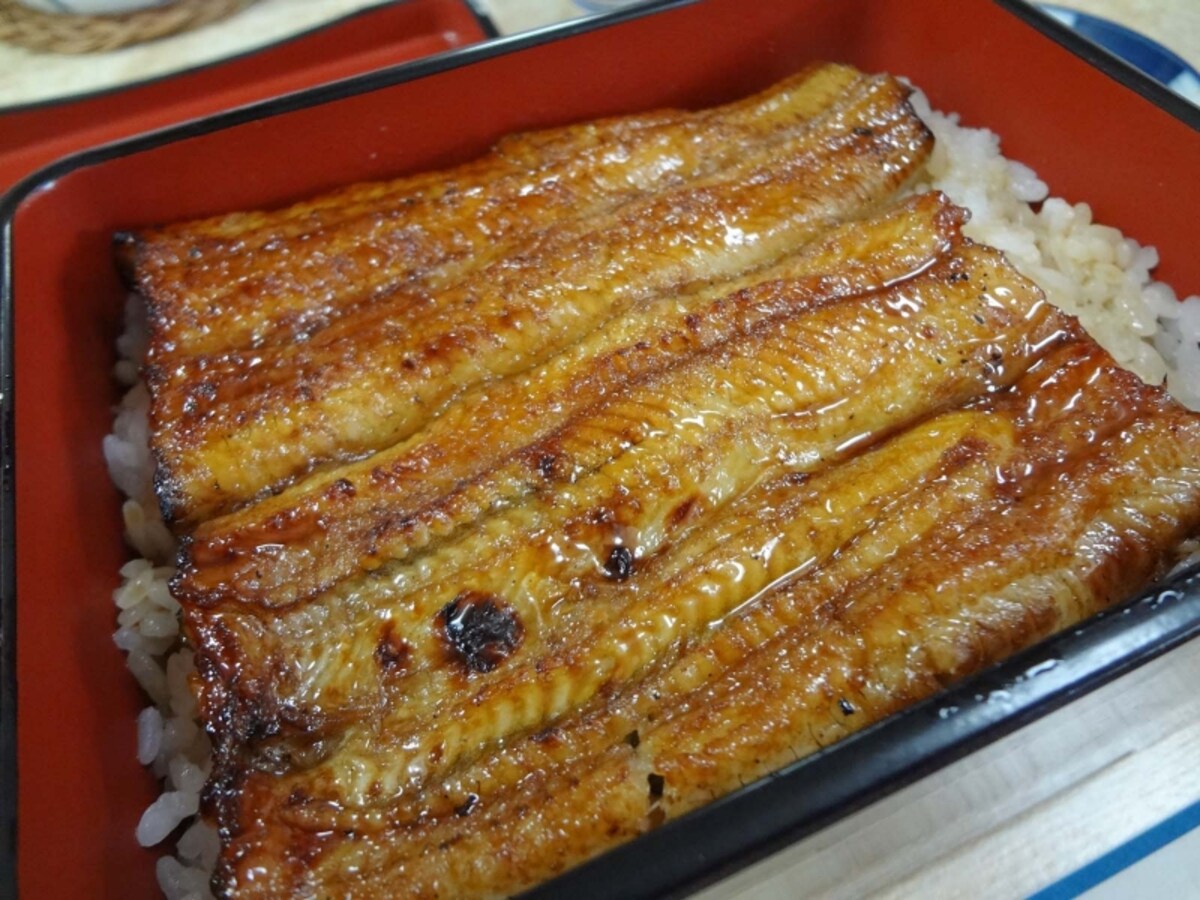 川千家うな重
