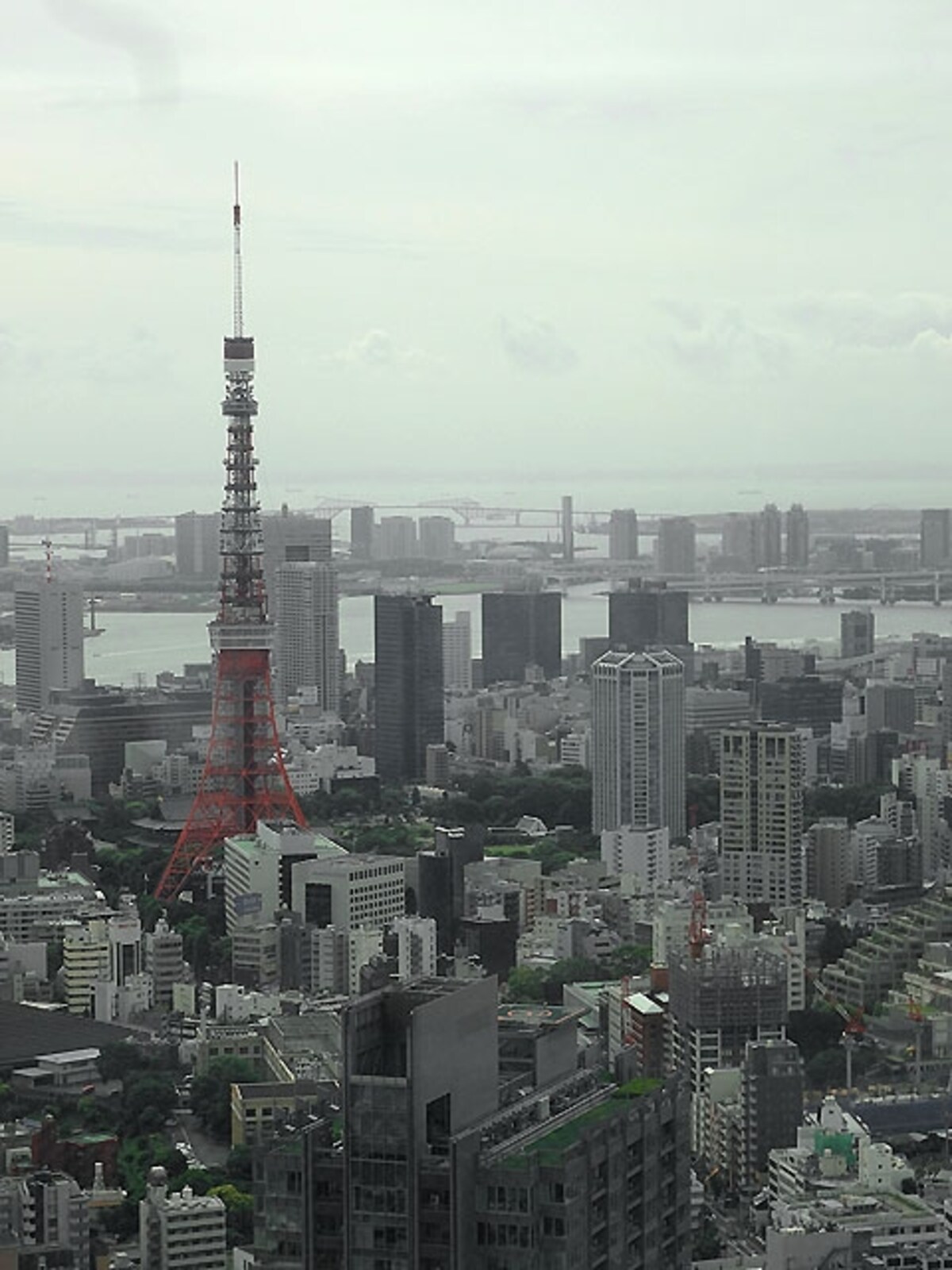 タワーズグリル 景色