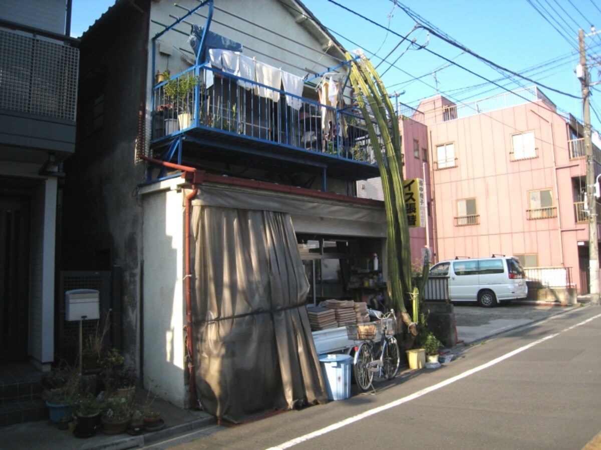 サボテン