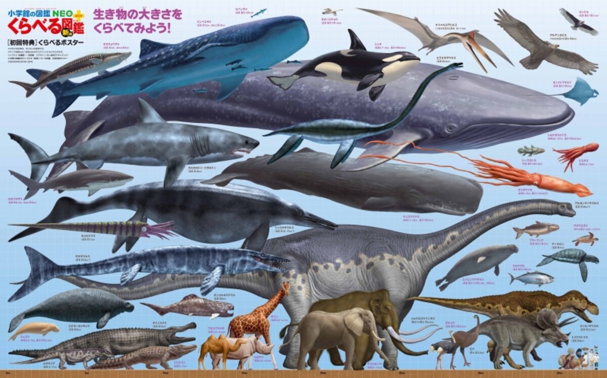 初回特典ポスター
