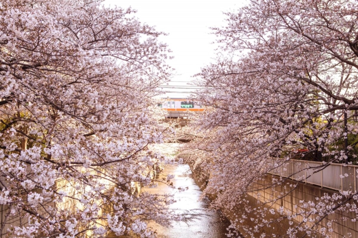 神田川（現地より約440ｍ／徒歩6分）