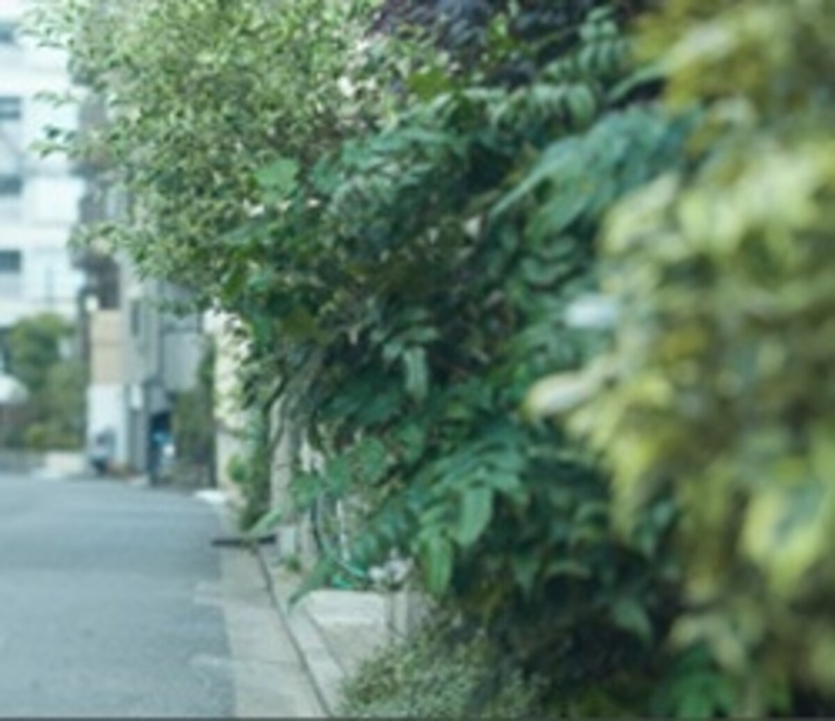 現地周辺の街並み