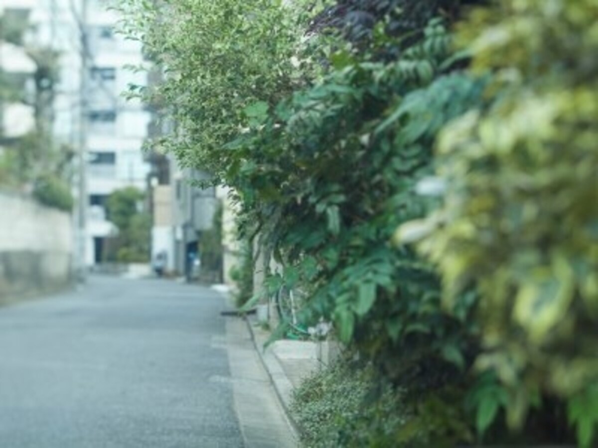 現地周辺の街並み
