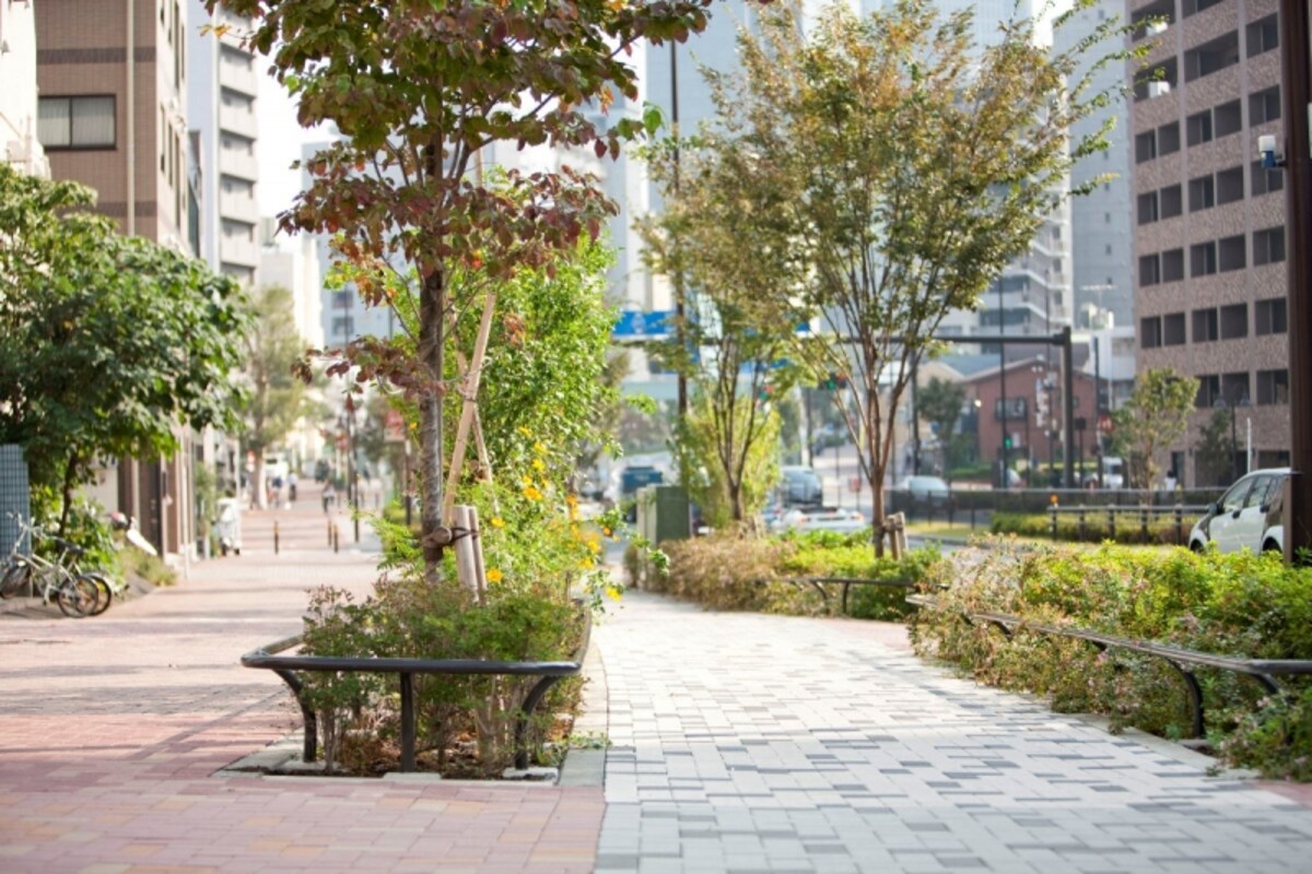 山手通り（現地周辺）
