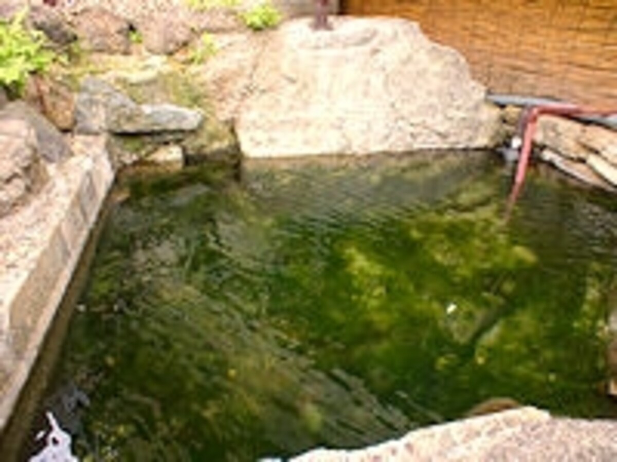 東山温泉最古の源泉「猿の湯」