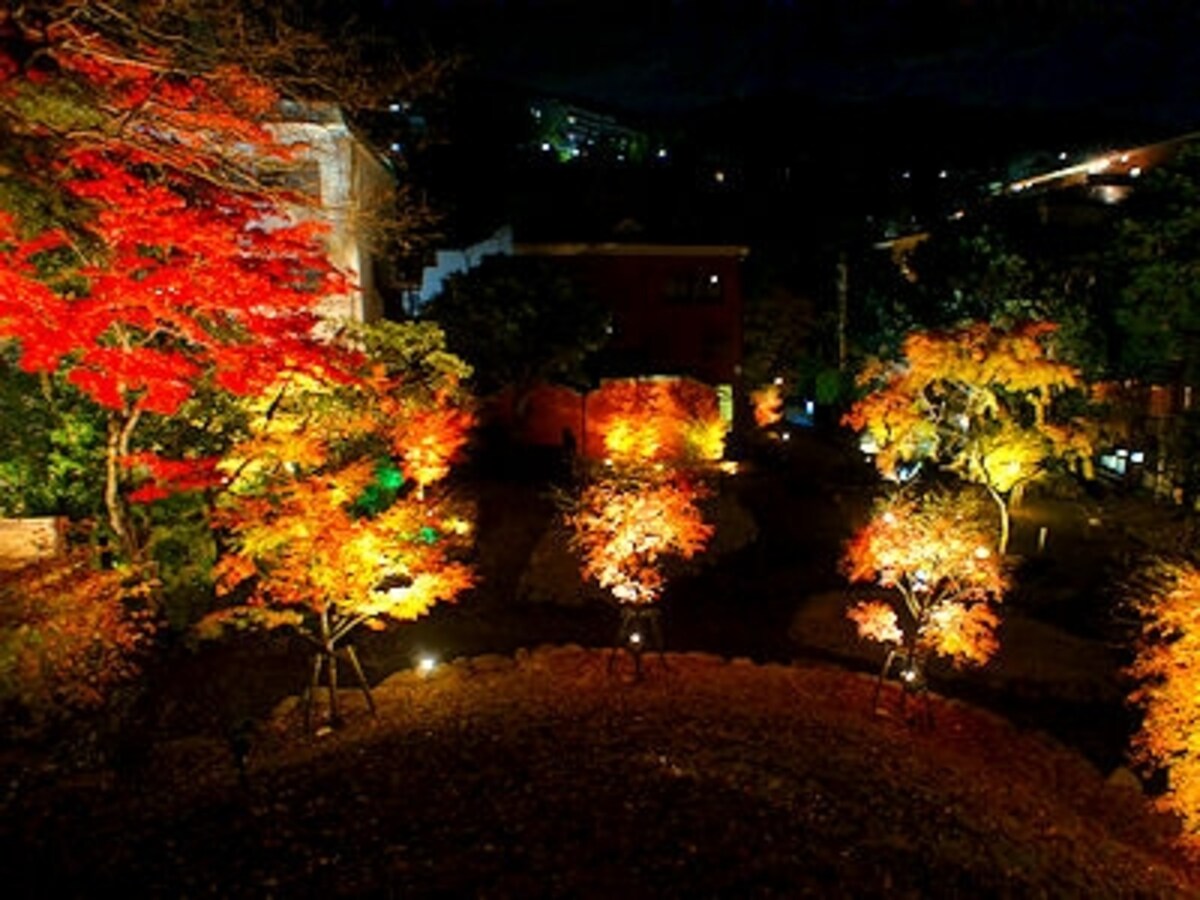 湯河原美術館紅葉ライトアップ