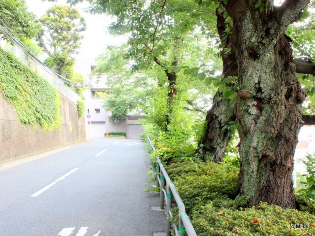 花房山