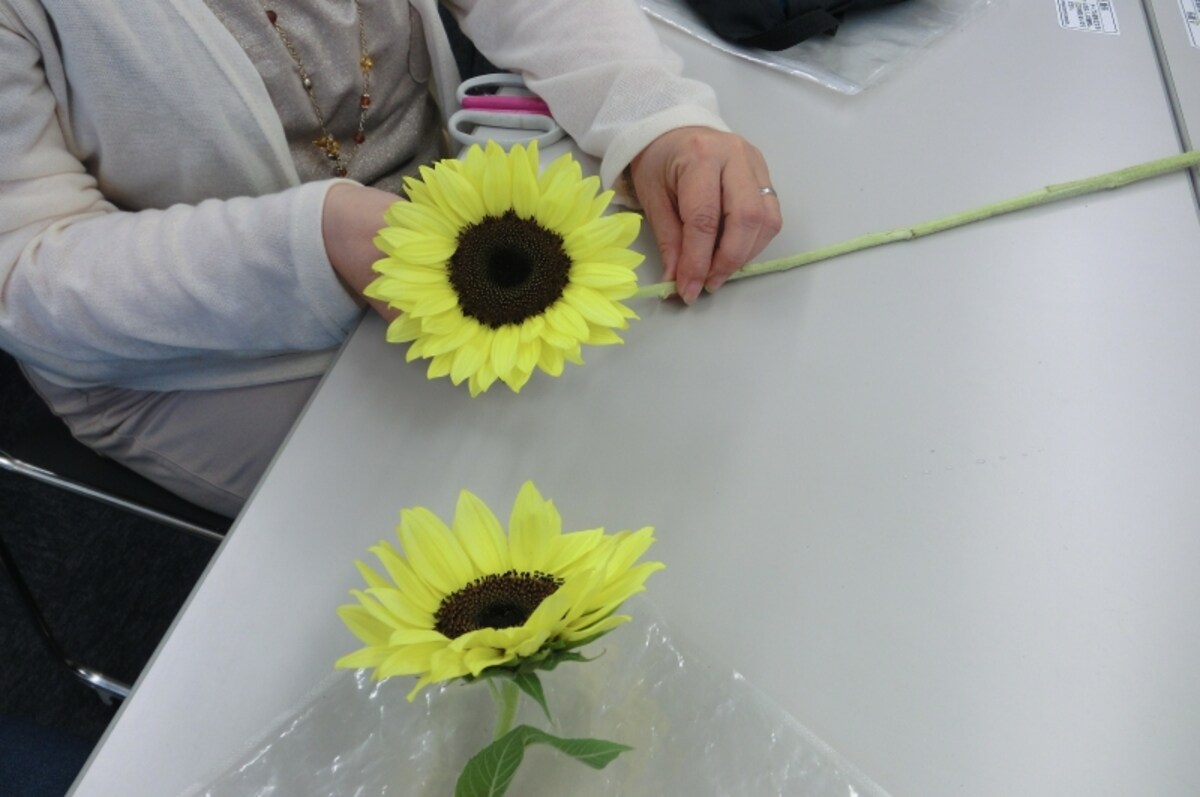 生花