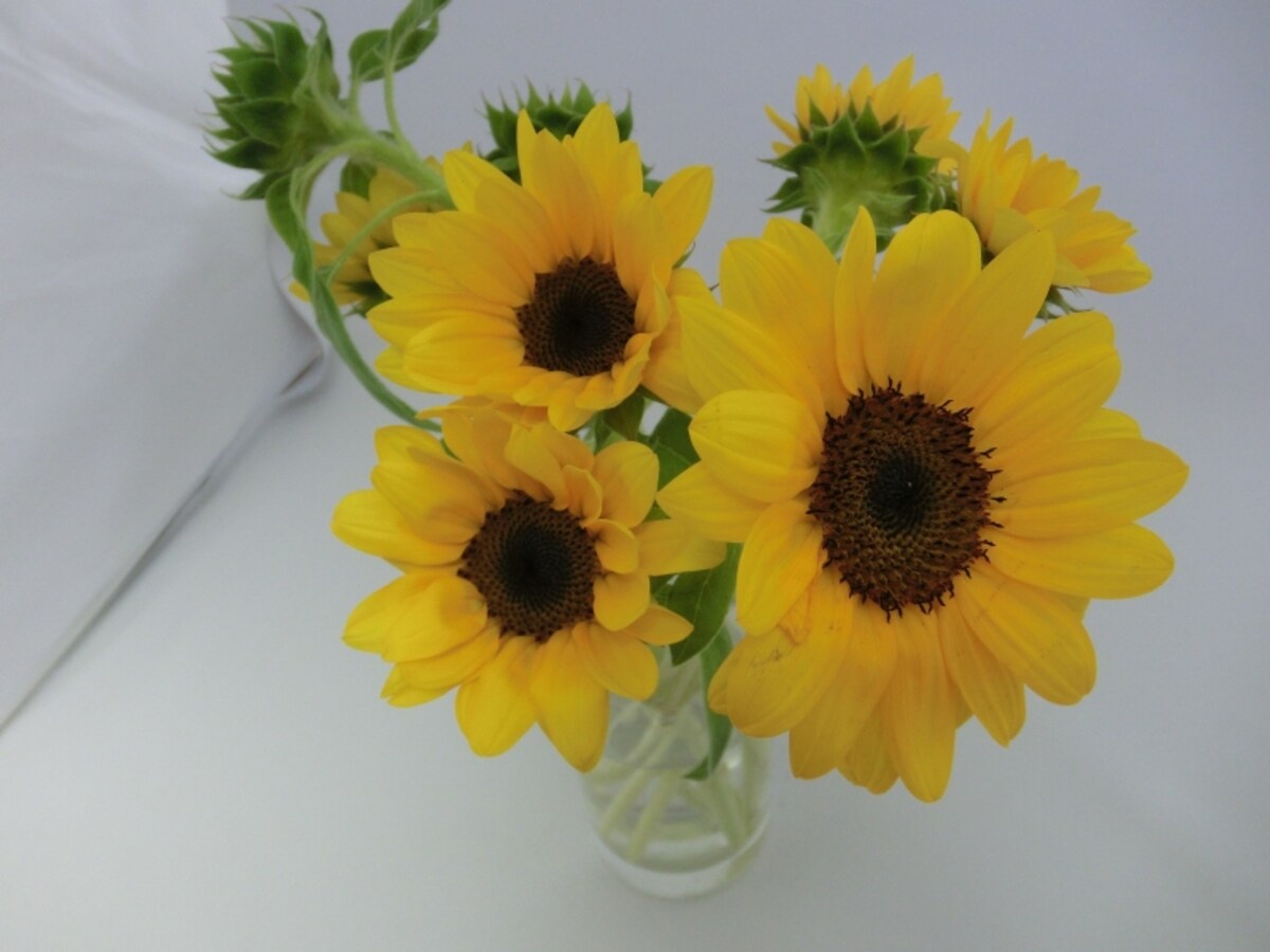 生花