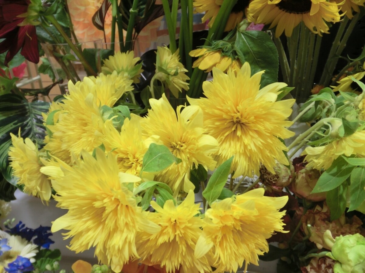 生花