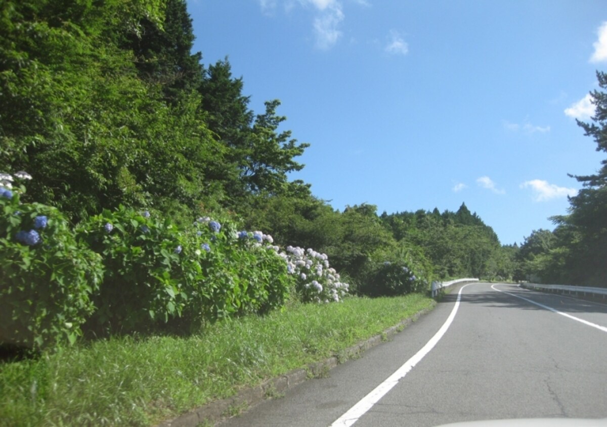 TOYO TIRES ターンパイク