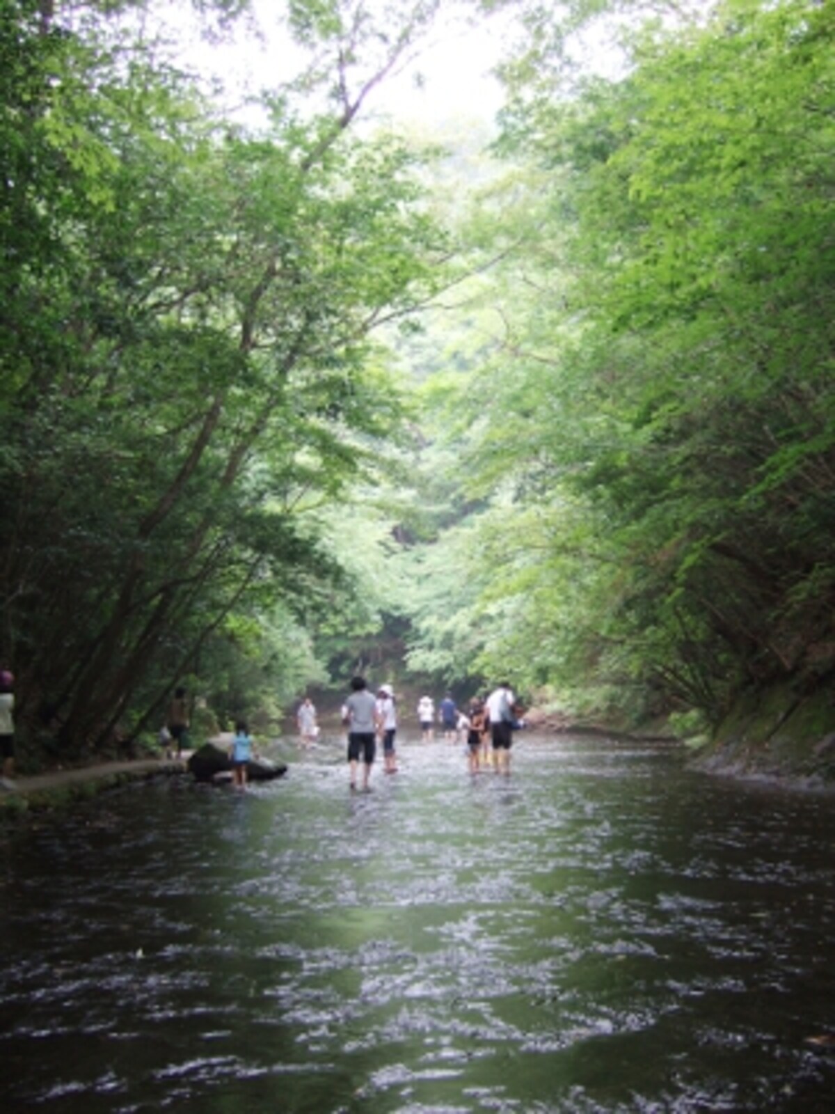 岳切渓谷