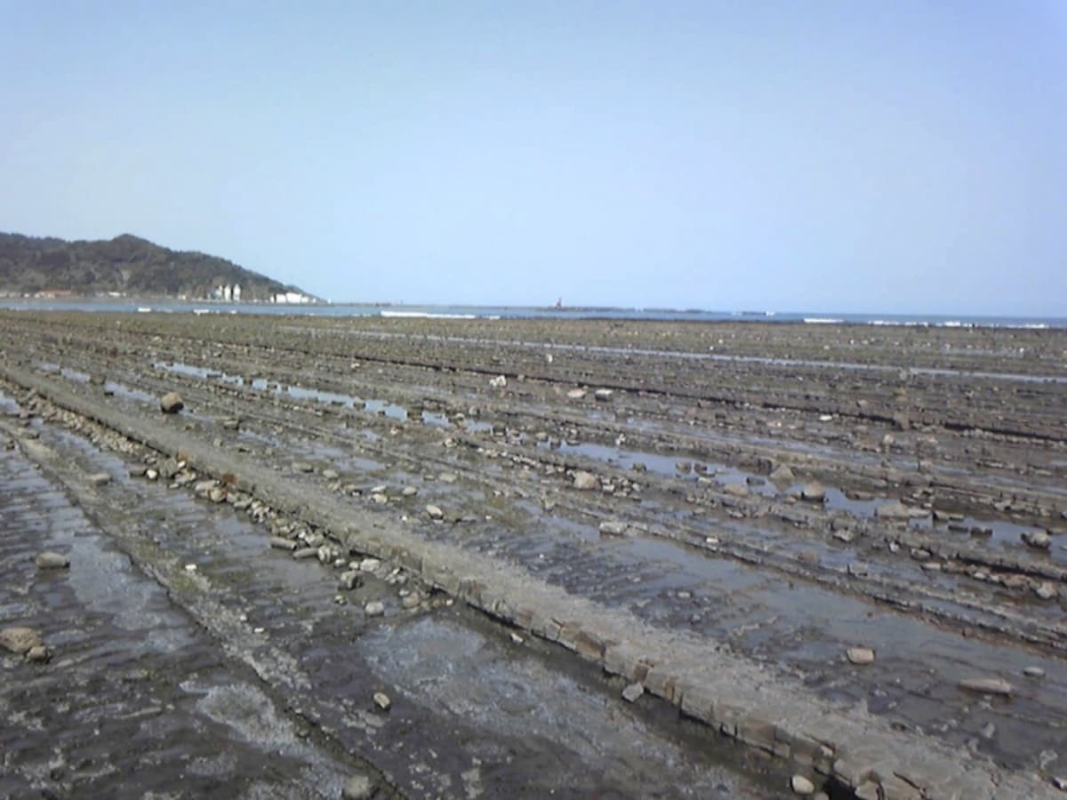 日南フェニックスロードの海岸