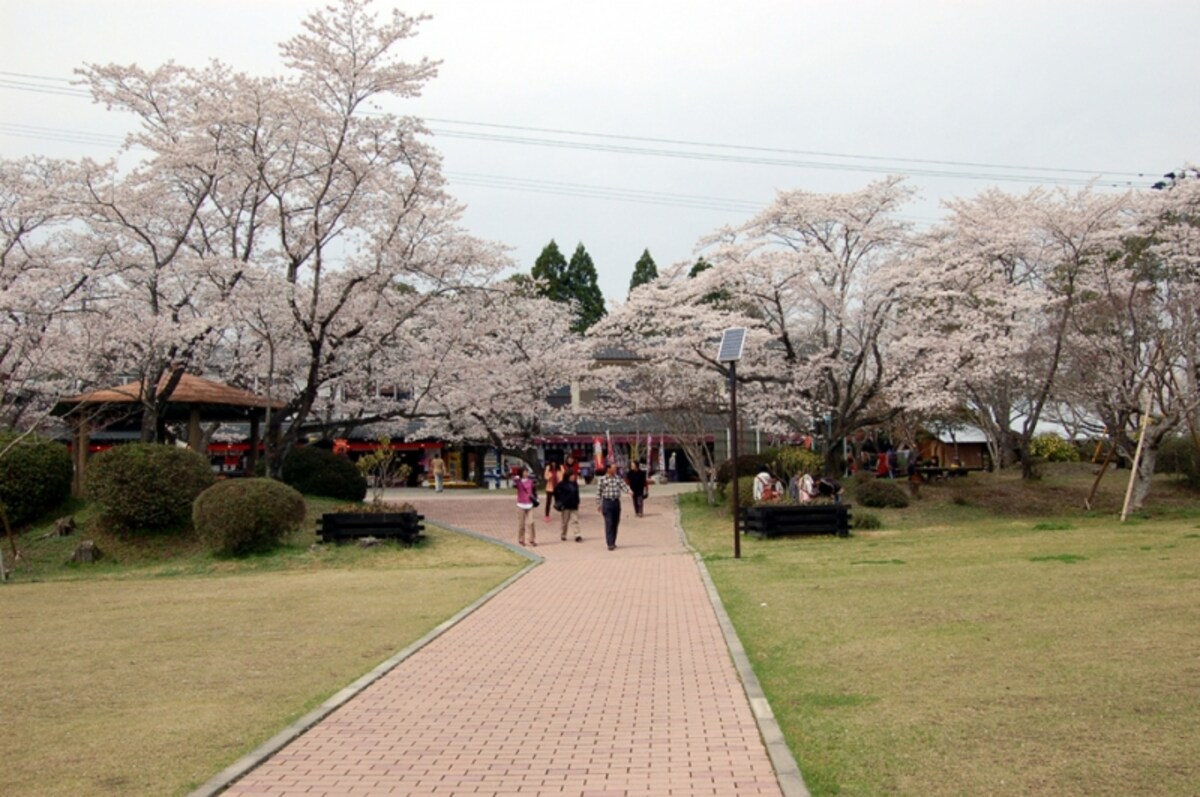 曽木の滝公園　