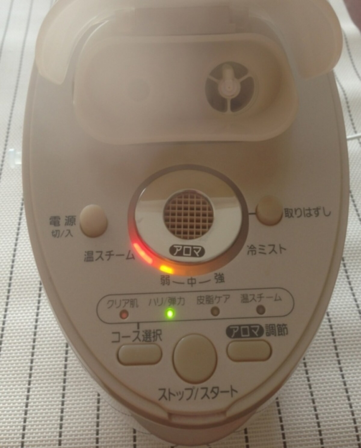 イオンスチーマー