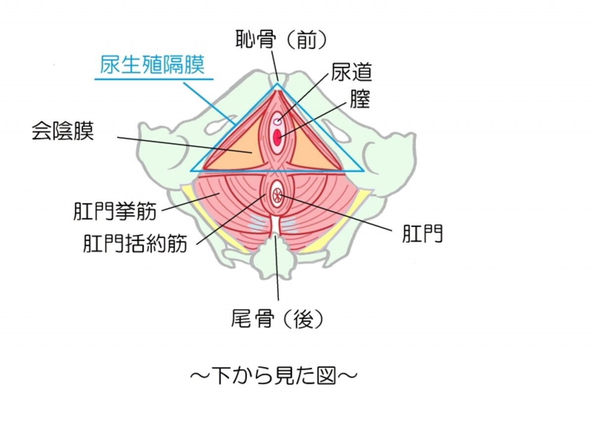 下から