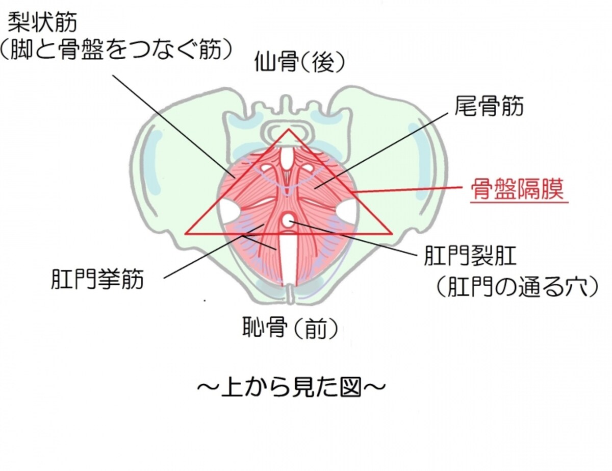 上から