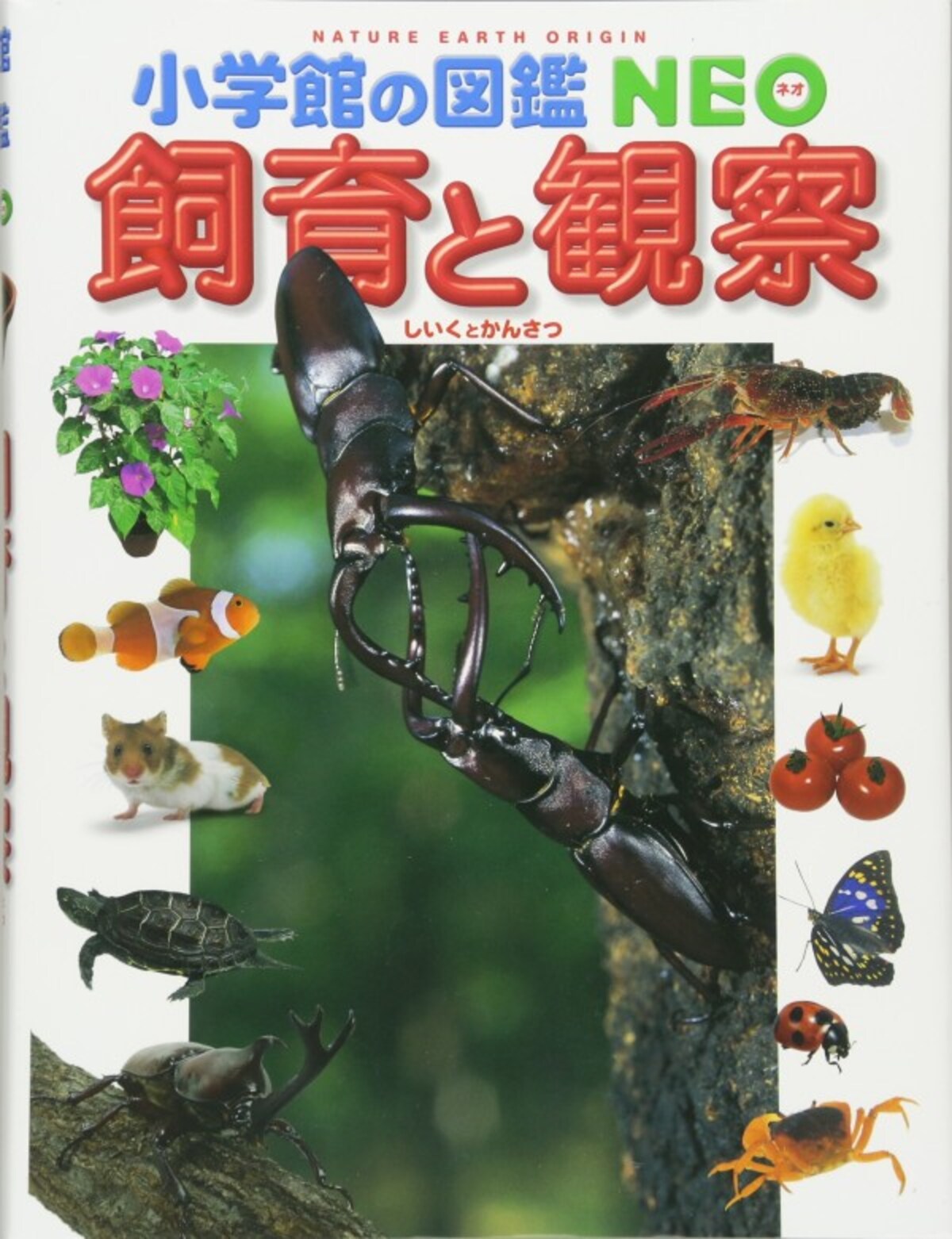 理科の自由研究におすすめの『小学館の図鑑NEO 飼育と観察』
