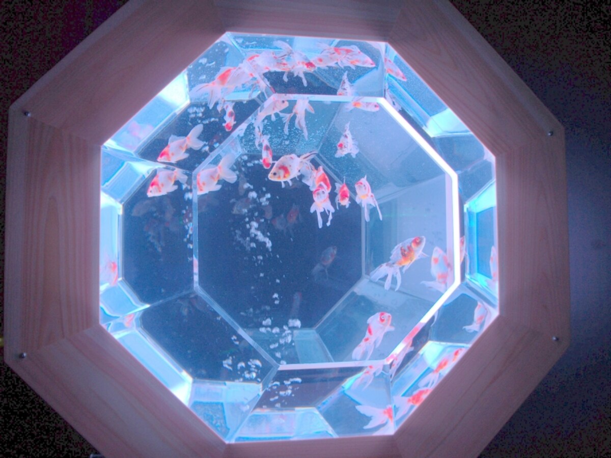 新江戸金魚飾