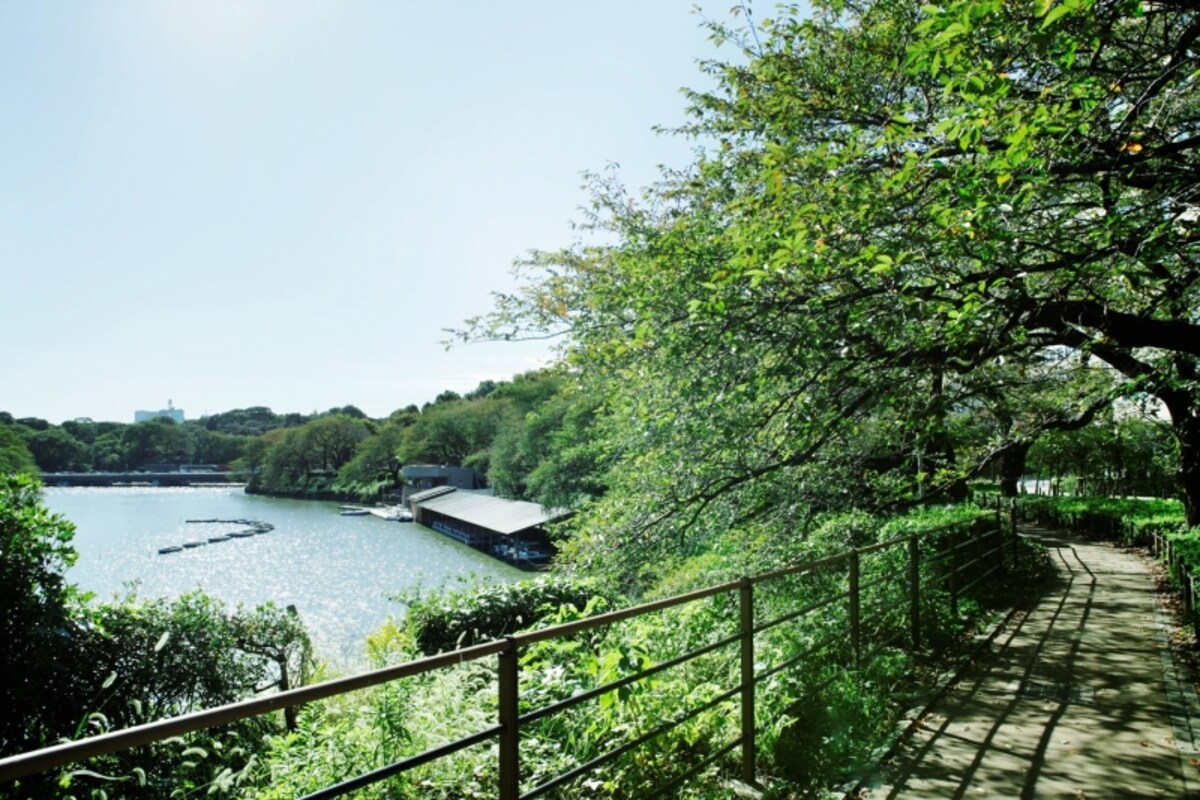 千鳥ヶ淵緑道（現地より約280m/徒歩4分）