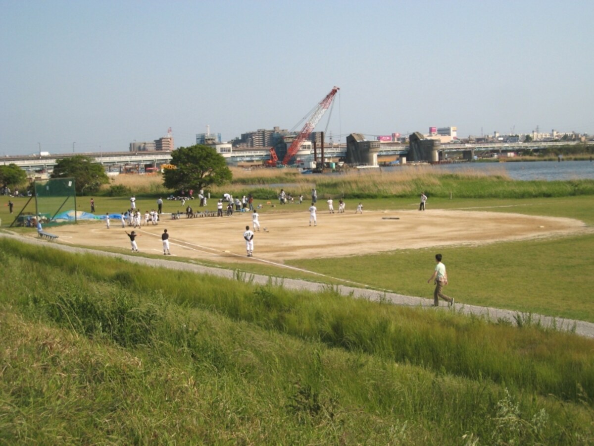 江戸川河川敷