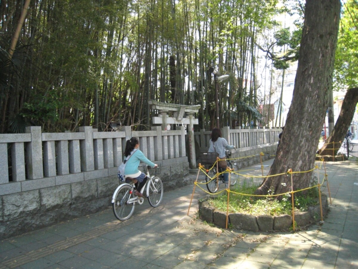 八幡の薮知らず