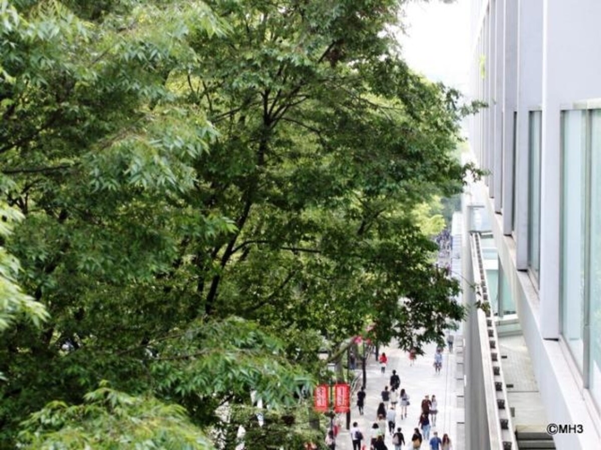 「表参道ヒルズ ゼルコバテラス」のバルコニーから表参道を見る