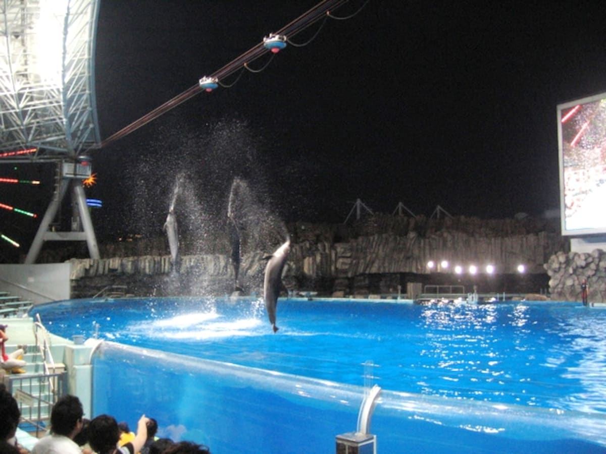 「名古屋港水族館」