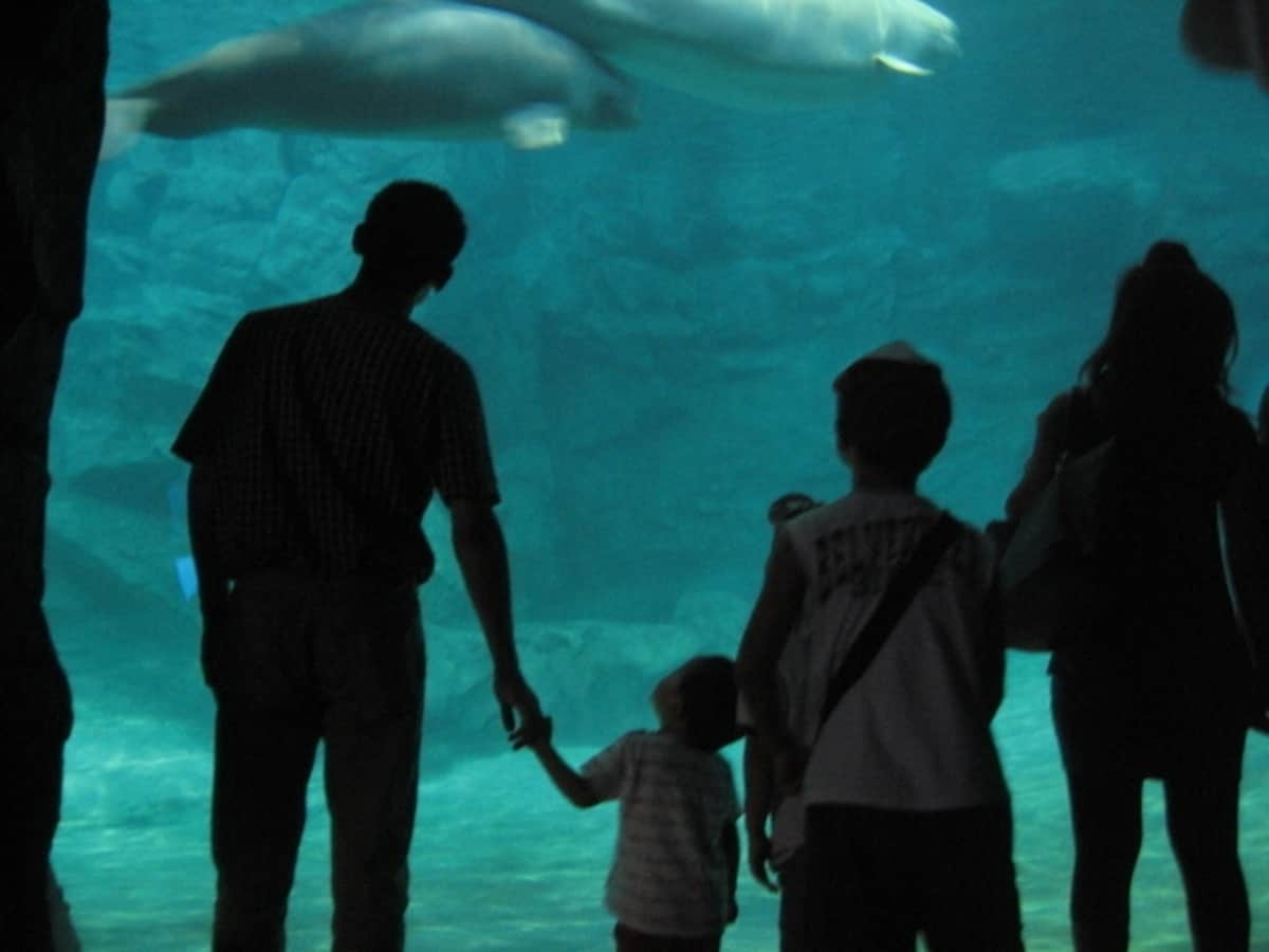 「名古屋港水族館」