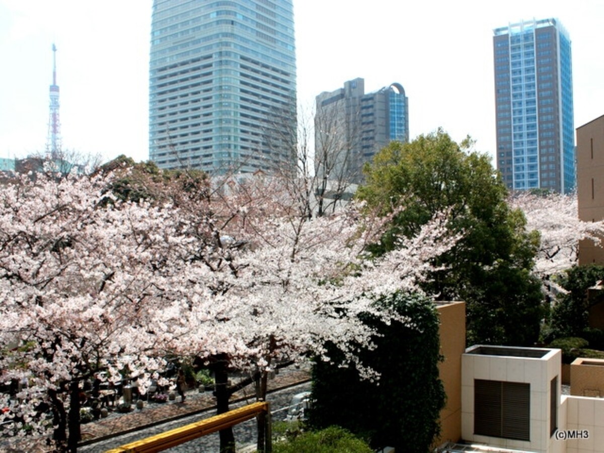 「アークタワーズ」（赤坂1丁目）から東京タワーを臨む（2012年4月撮影）