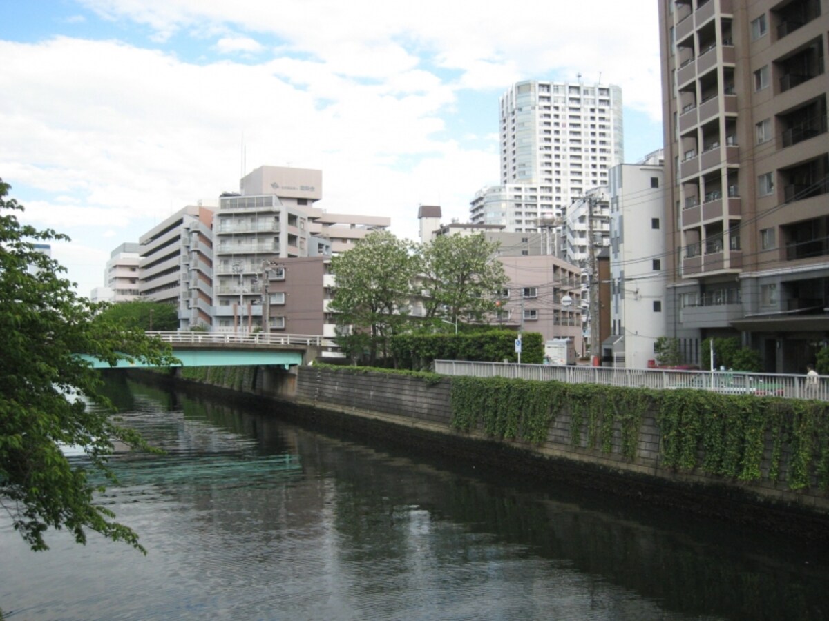 目黒川
