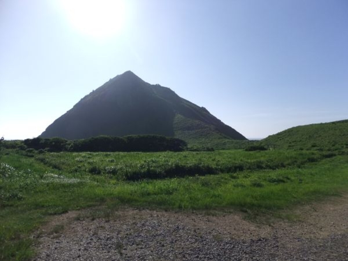 大野亀