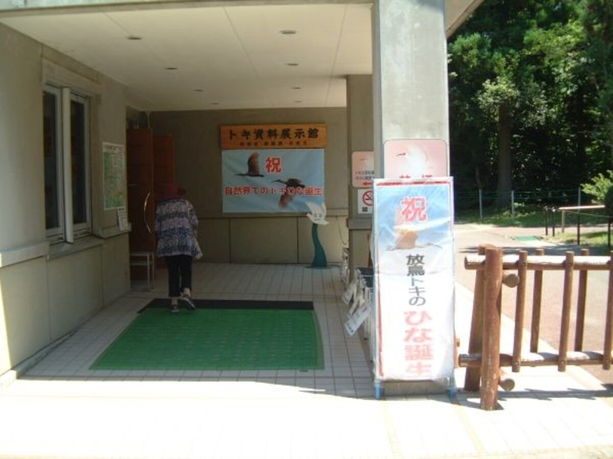 佐渡市トキの森公園・トキ資料展示館