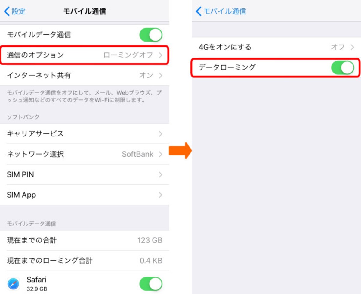 海外でiPhoneを使うときの設定画面