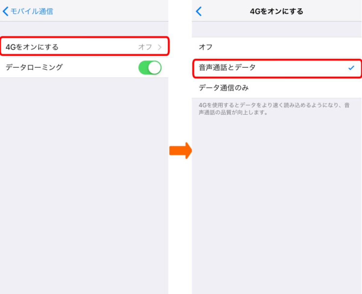 海外でiPhoneを使うときの設定画面