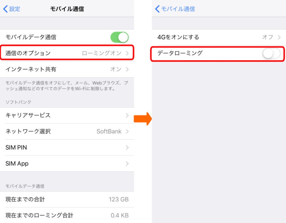 海外でiPhoneを使うときの設定画面