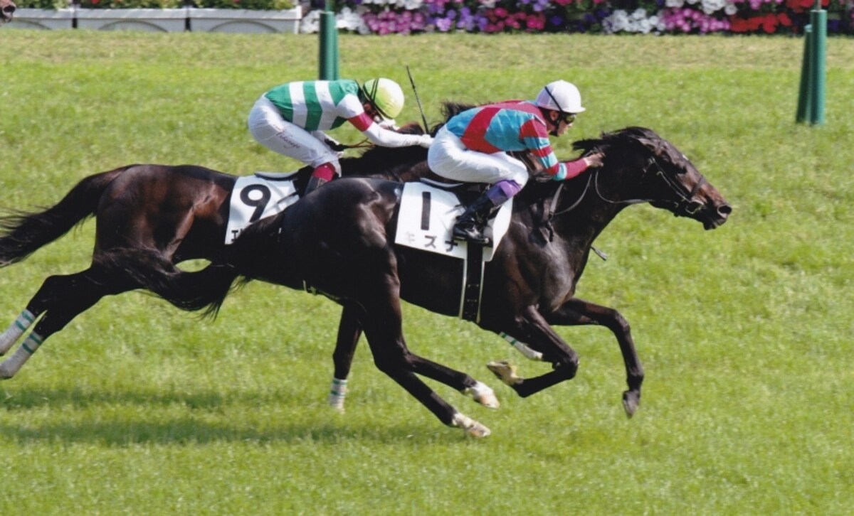2013derby