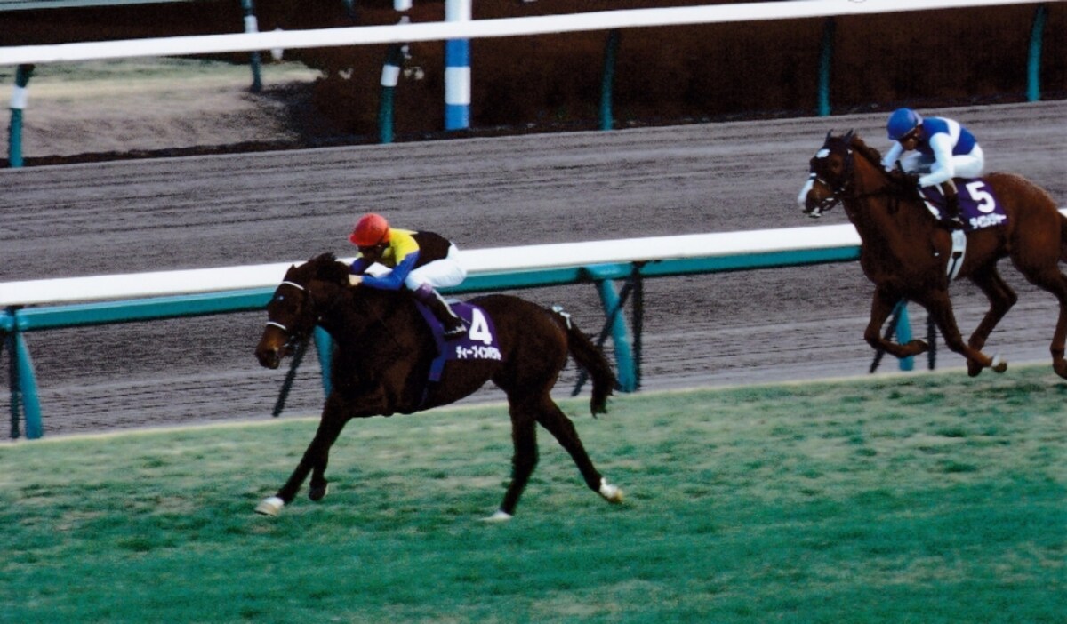 2006arima