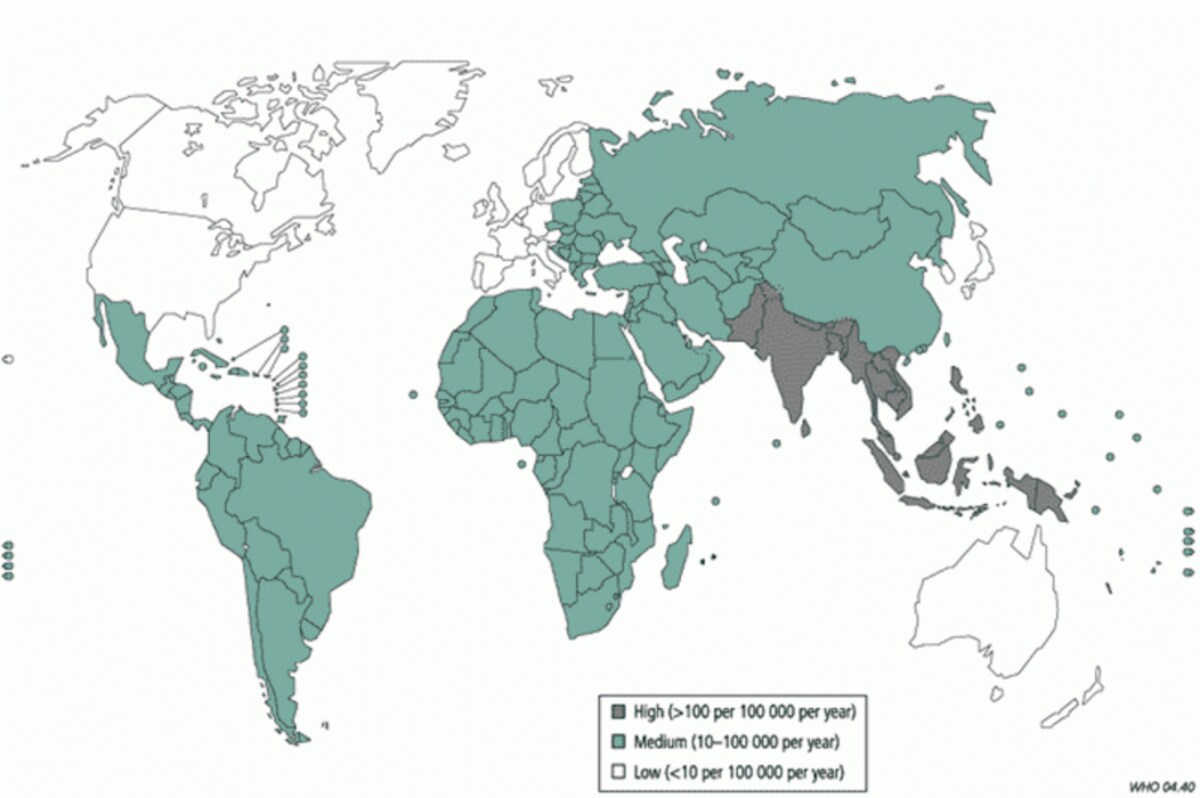 Typhoid_map