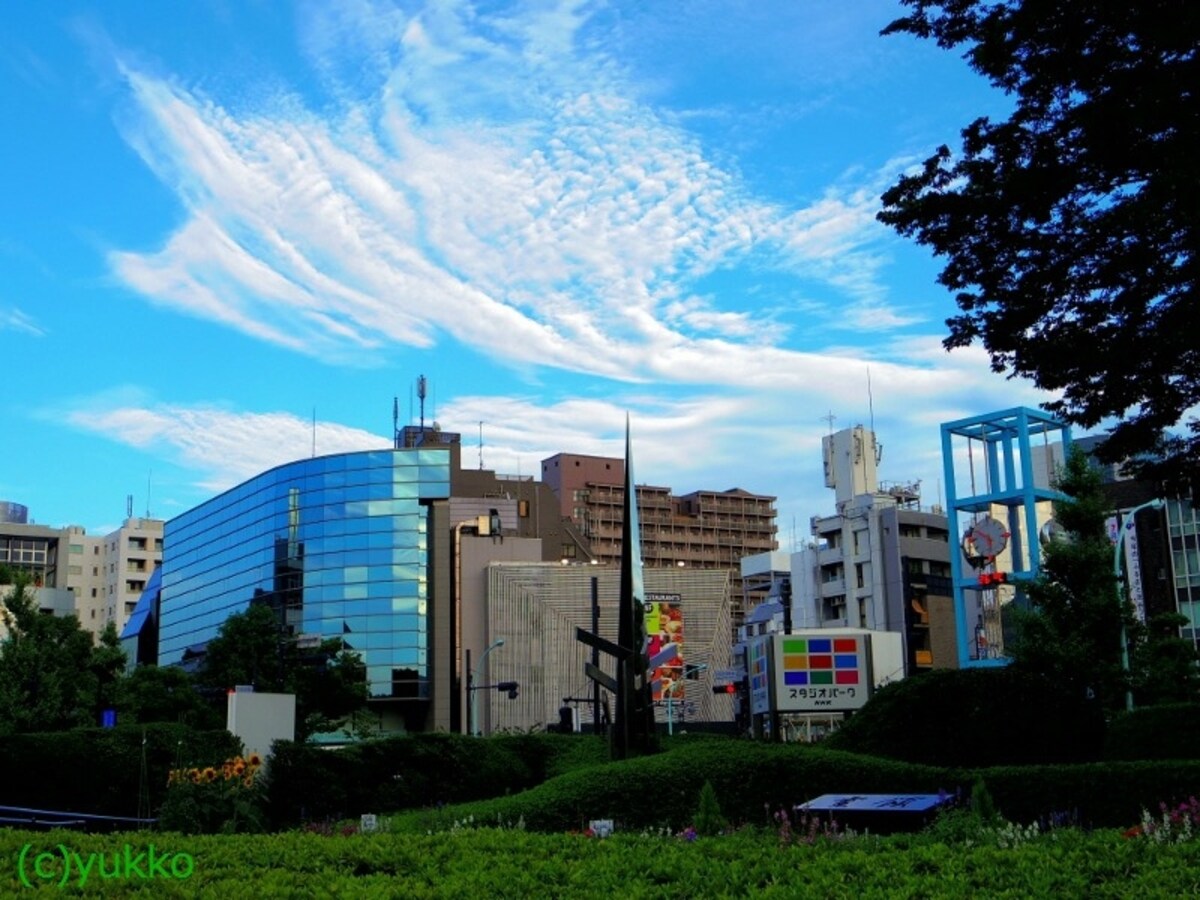 渋谷